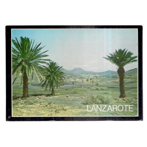 HARIA PALM TREES, LANZAROTE, ISLAS CANARIA, SPAIN used vintage postcard #