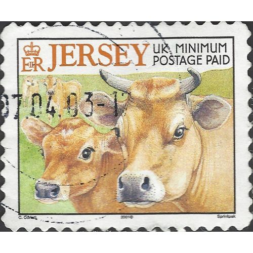 JERSEY, MAMMAL, Cow with calf, orange 2001, Jersey rate