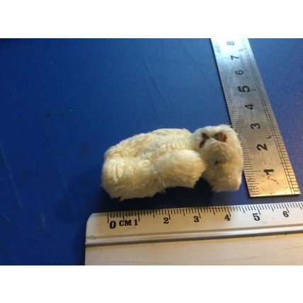 Very Pale Yellow Fluffy Teddy - Miniature
