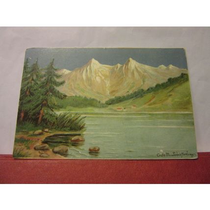 ALPINE SCENE used antique postcard 1904 postmark /