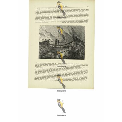 Bridge Of Surco, Peru, Book Illustration (Print), c1880