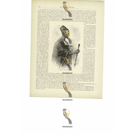 Ahmadou, King Of Segou, Mali, Africa, Book Illustration (Print), c1880