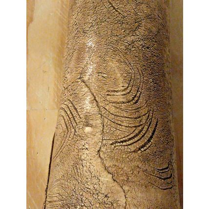 Vintage Sally McKeever Ceramic African Elephant Leg Life Like Vase Tan 12" High