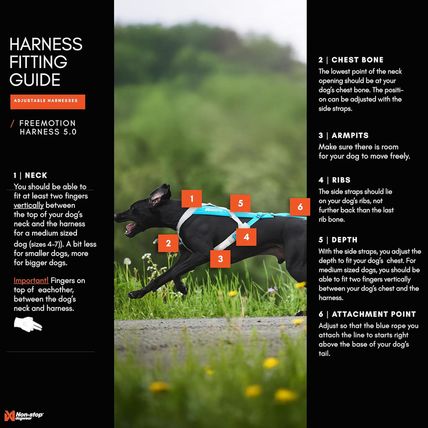Non-Stop Dogwear Freemotion Harness 5.0 Dog Pulling Harness for Sports like Runn