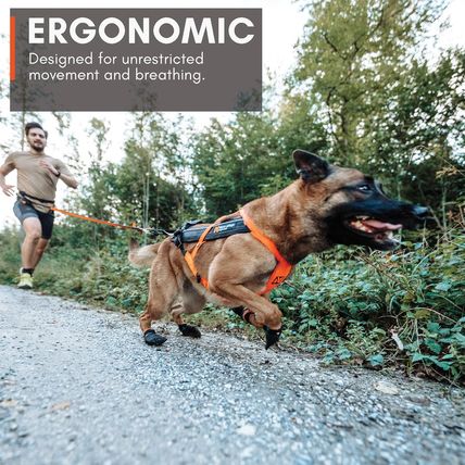 Non-Stop Dogwear Freemotion Harness 5.0 Dog Pulling Harness for Sports like Runn