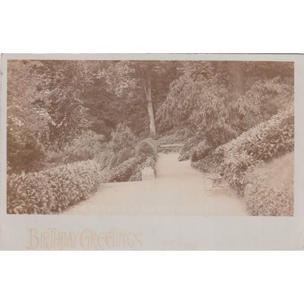 EC322 RICHMOND - THE TERRACE GARDENS . RP POSTCARD