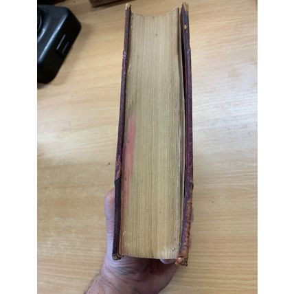 c1880 CHARLES DICKENS DOMBEY & SON DAILY NEWS MEMORIAL EDITION ANTIQUE BOOK (P5)