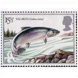 Great Britain 1983 British River Fish 15½p Atlantic Salmon Unmounted Mint SG1207