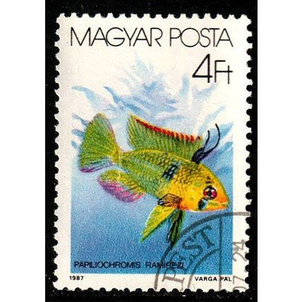 Hungary 1987 Fish 4ft Used Stamp #5