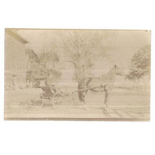 HORSE AND TRAP real photograph unused antique postcard Solio c.1910