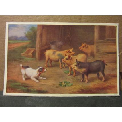 PUPPY DOG AND PIGLETS unused postcard by J. salmon #