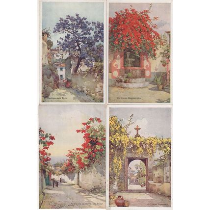 Madeira Jackaranda Tree 4x Flowers Old Postcard s