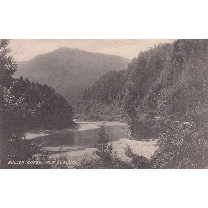 Buller Gorge Murchison New Zealand Antique Postcard