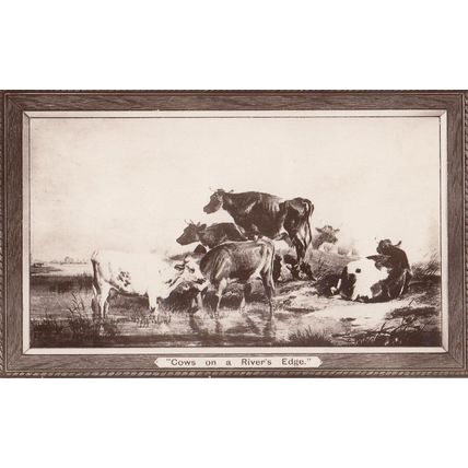 Cows Circus Formation Boots The Chemists Advertising RPC Postcard
