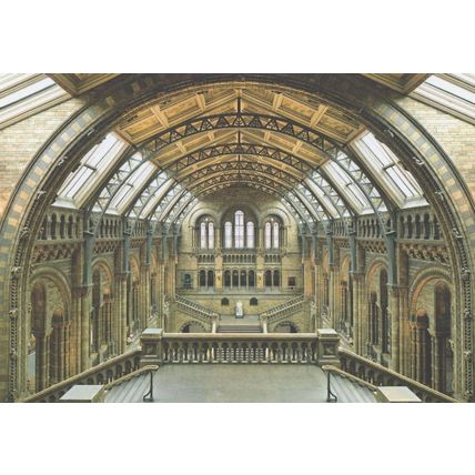 Natural History Museum Hintze Hall London Postcard
