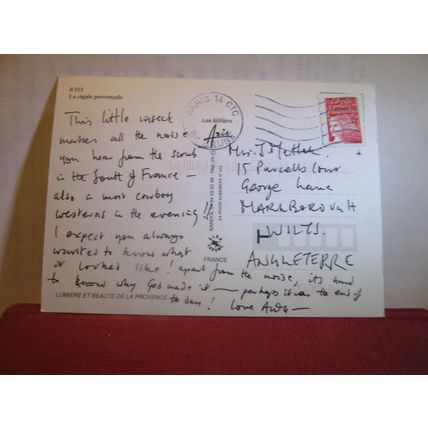 LA CIGALE PROVENCALE, PROVENCE, FRANCE. used postcard Cicada insects =