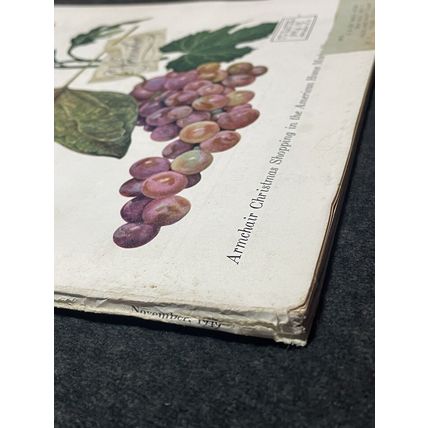 The AMERICAN HOME Magazine NOVEMBER 1949 Design Decorating Kitchens Gardens Food