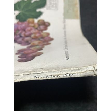 The AMERICAN HOME Magazine NOVEMBER 1949 Design Decorating Kitchens Gardens Food