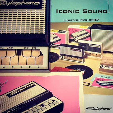 Stylophone the Original Pocket Electronic Synthesizer | Synth Musical Instrument