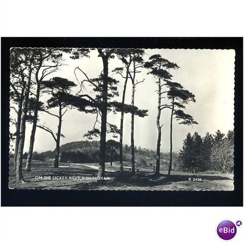 Warwickshire BIRMINGHAM Lickey Hills Postcard by Valentine (K.5426)