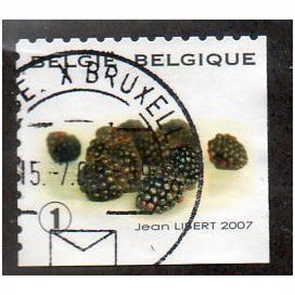 BEL 2007 (52c)(S/A) 'FRUIT- BLACKBERRIES' FINE USED (EBID10439)