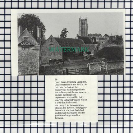 (7594) Court Farm Chipping Campden Gloucestershire - 1980s Cutting