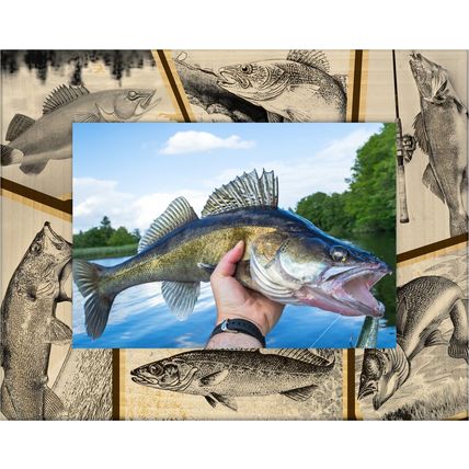 Walleye Fish Laser Engraved Wood Picture Frame Landscape (8 x 10)
