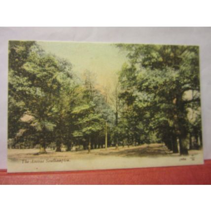 THE AVENUE, SOUTHAMPTON, HAMPSHIRE. unused antique postcard /