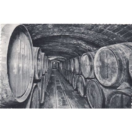 Casa Codorniu Vinos en crianza San Sadurni de Noya Spain Postcard unused VGC