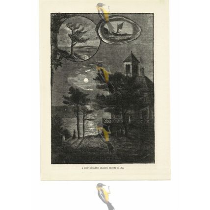 New England Seaside Resort, USA, Book Illustration (Print), 1887