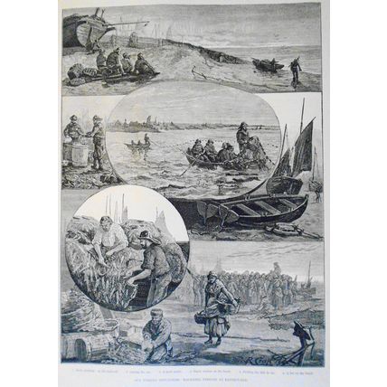 1883 Fishing Industries: Yarmouth Herring/ Int'l Exhibition -many prints & plan