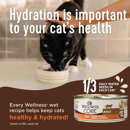 Wellness CORE Pate Adult Wet Cat Food, Natural, Protein-Rich, Grain Free, 5.5 Ou