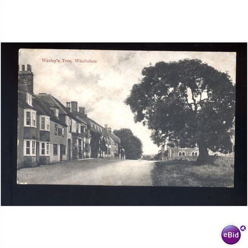 Sussex WINCHELSEA Wesley's Tree Postcard by J. Harvey (2513)