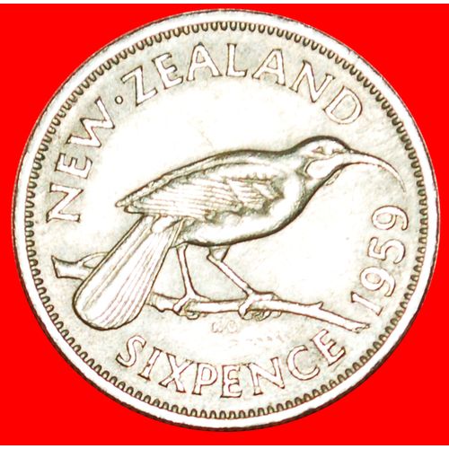 DRESSED QUEEN (1955-1965): NEW ZEALAND ★ 6 PENCE 1959! LOW START ★ NO RESERVE!