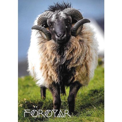 Posta: Tourist Postcard: Ram