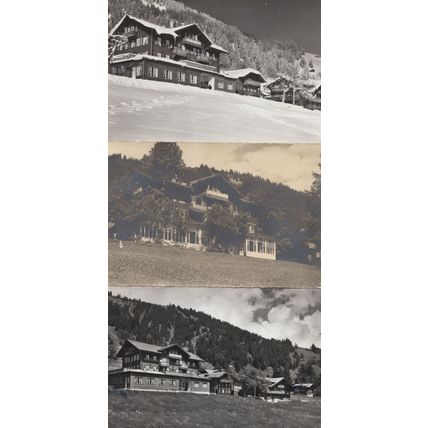 Pension Schlegeli Adelboden Hotel 3x Old Switzerland Postcard s