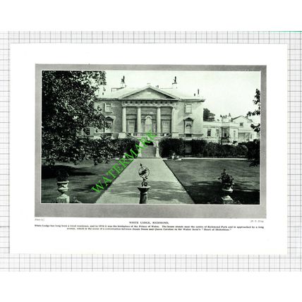 White Lodge Richmond Park - 1920's Cutting / Print