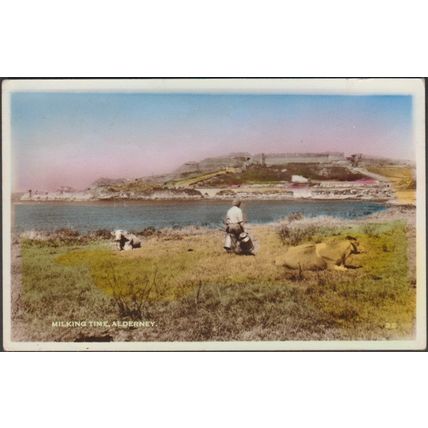 Milking Time, Alderney, 1965 - Birn Brothers RP Postcard