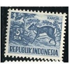 1956/1958 Zonnebloem 164 - MNH (**)