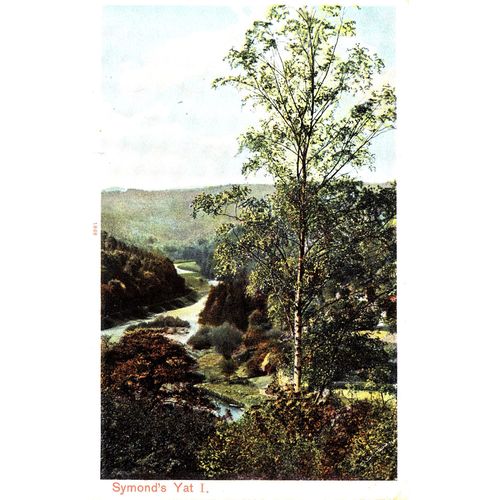 Vintage Colour Postcard - Symonds Yat, Herefordshire - Peacock