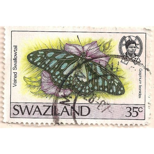 SWAZILAND, BUTTERFLY, Veined Swallowtail, lilac 1967, 35c