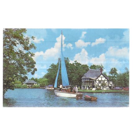 RIVERSIDE BUNGALOWS, WROXHAM, NORFOLK BROADS used postcard 1981 postmark #