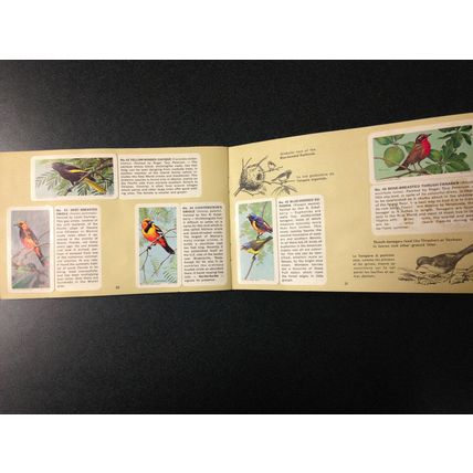1963 Brooke Bond Album 6 Red Rose Tea 48 Cards Full Booklet Tropical Birds