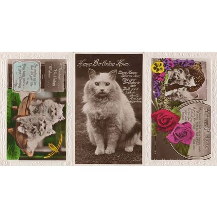 Grey Kittens & Cats 3x Birthday Greetings RPC Old WW2 Postcard s