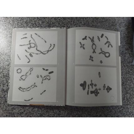 Biology By Inquiry - Book 3 - Clarke, Booth, Grigsby, Haddow, Irvine