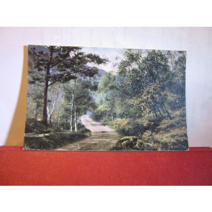 UNKNOWN WOODLAND ROAD unused vintage postcard by Valentine =