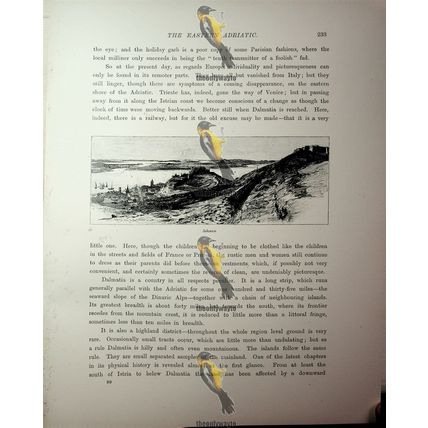 Sebenico, Croatia, Book Illustration (Print), 1890