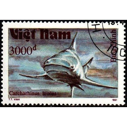 Vietnam 1991 Marine Life Fish 3000d Used Stamp Shark