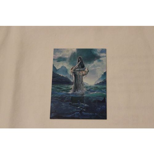 1995 Cards Illustrated Paul Chadwick Fantasy Art Promo
