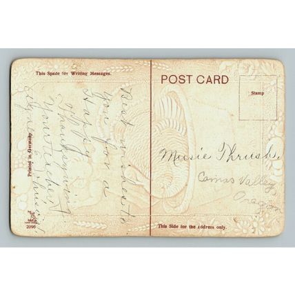 1910 Cute Young Girl Turkey Embossed Thanksgiving Postcard (A28)